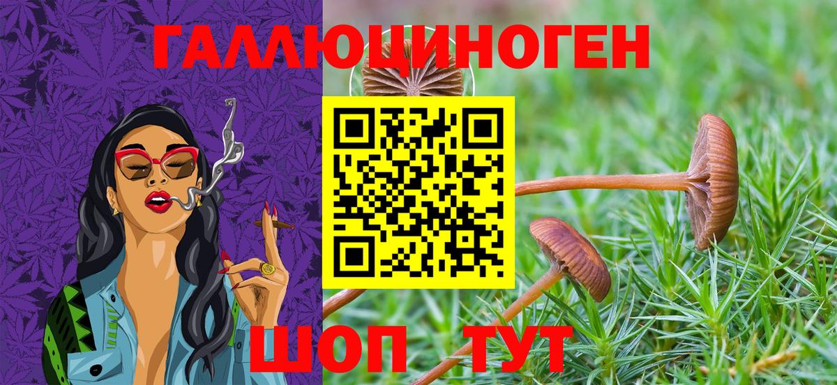 Москва  Псилоцибиновые грибы Magic Shrooms  Псилоцибиновые грибы мухоморы  Вход с VPN 